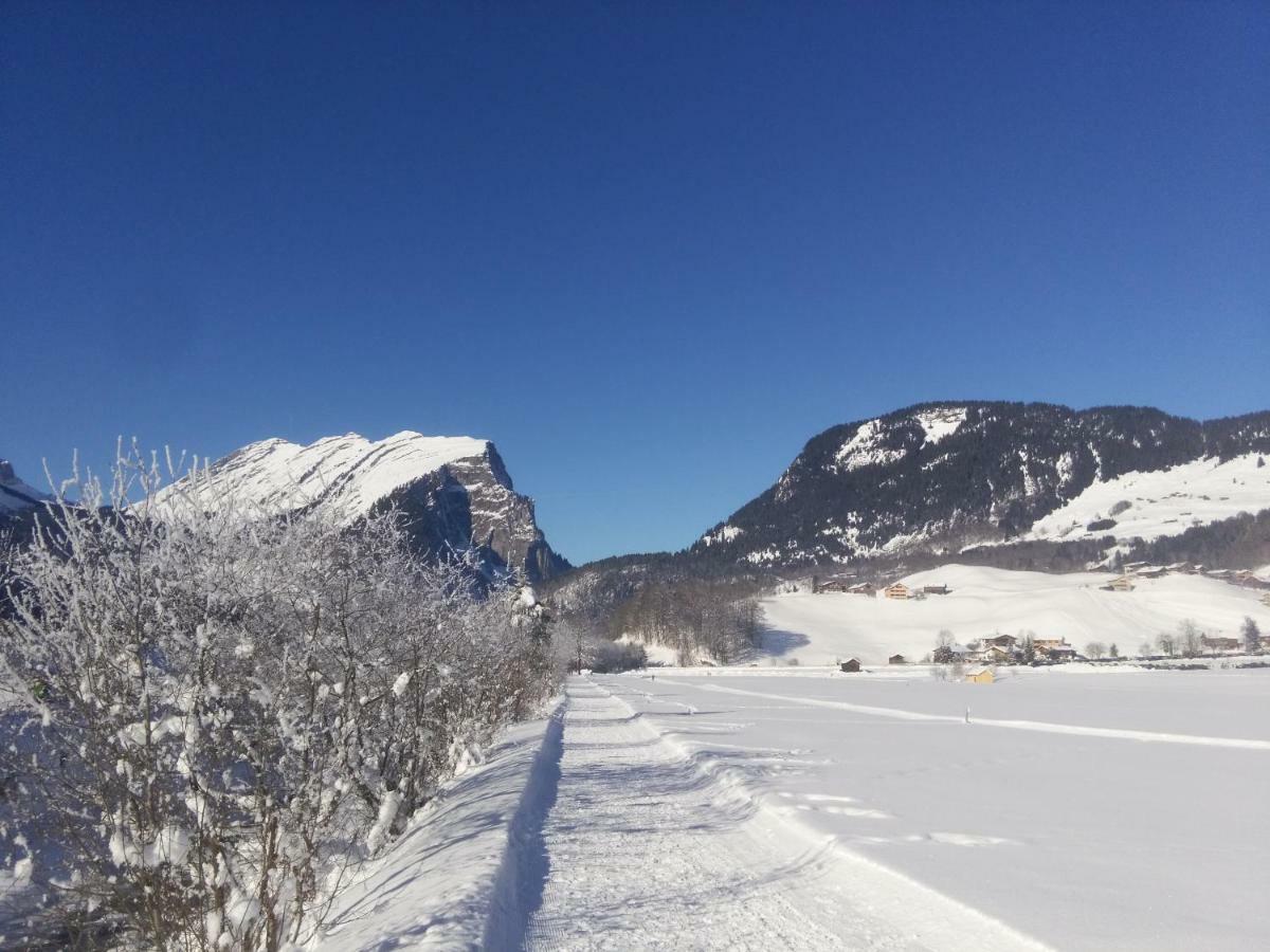 Gaestehaus Pfandl Au (Vorarlberg) Екстериор снимка