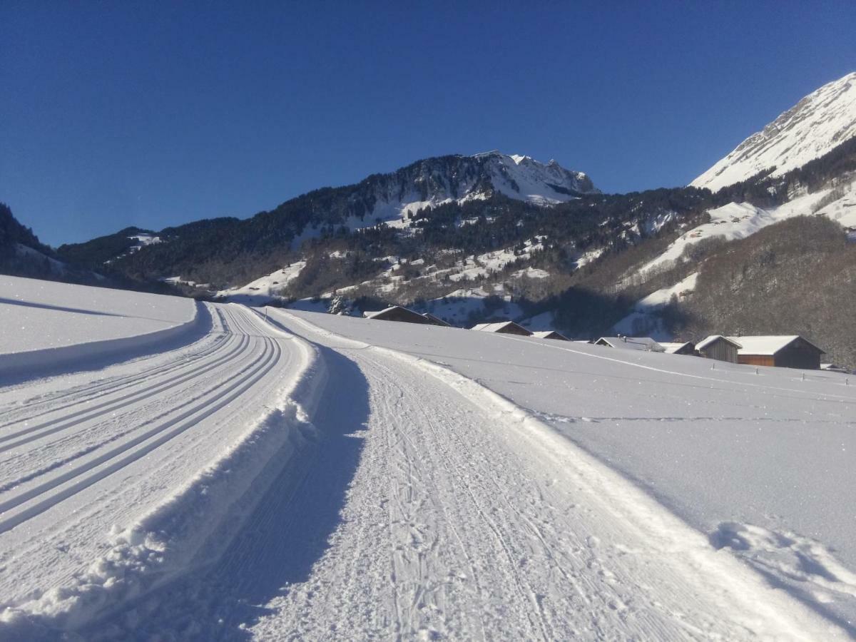 Gaestehaus Pfandl Au (Vorarlberg) Екстериор снимка